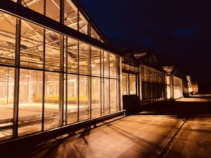 Thumbnail Locations_Instruments/LI_13_Nocturnal_Greenhouses_Gaia_Zorzi_Gaia Zorzi.jpeg 