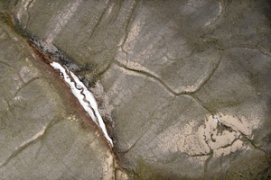 Thumbnail Locations_Instruments/LI_7_Drone image of snow patch in Arctic tundra by Jakob Assmann.jpg 