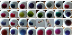 Thumbnail Research_Objects/RO_30_Sud aus Rotkohl als pH-Meter_2020-05-20-12-03_Tabea Peter-Spalinge.png 